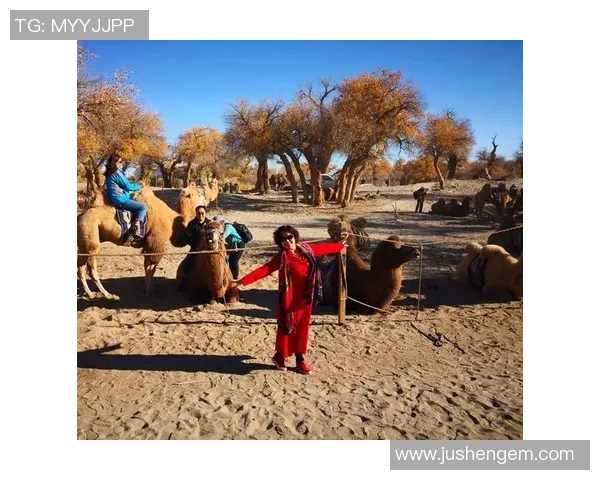 打出名堂真人秀:展现真实生活与梦想追逐的全新舞台 打出名堂真人秀:展现真实生活与梦想追逐的全新舞台